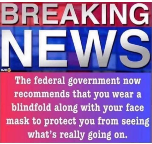 Screenshot_2022-11-24-21-53-04-75_1c337646f29875672b5a61192b9010f9