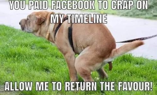 FB_IMG_1667936105818
