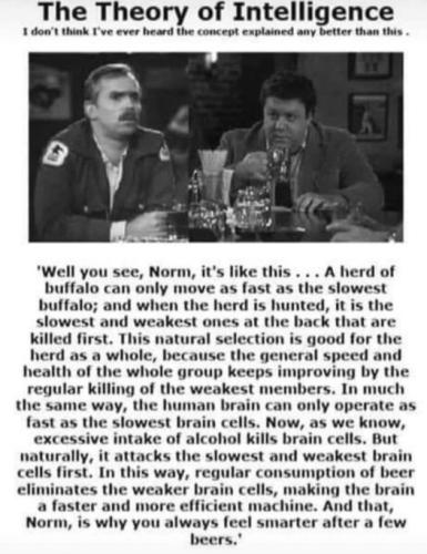 312754121_196596319413229_6524787976537873555_n