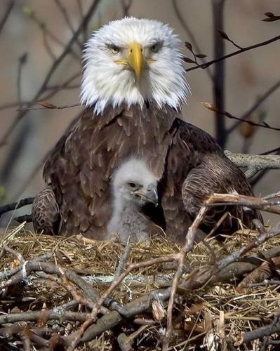 tumblr_3b525b0dec751834cae41e67b5104d4e_194cb8a1_1280