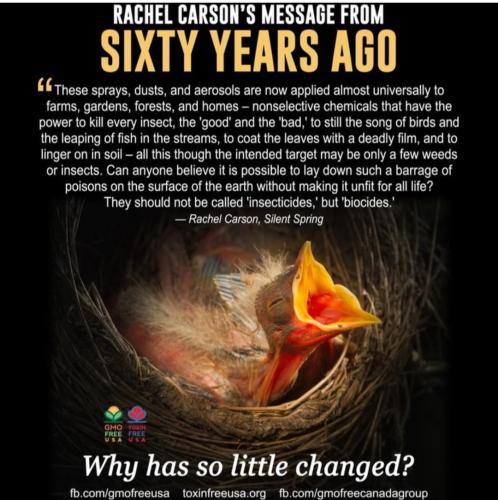 Screenshot_2022-11-11-00-35-47-10_1c337646f29875672b5a61192b9010f9