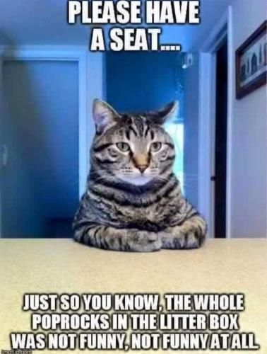 cefdbbb8-3bdd-4dfb-8abd-f9f7123821cd