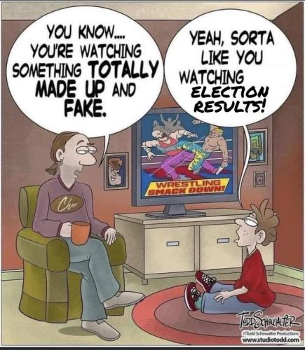 Fake News -Wrestling Analogy Politics 2022