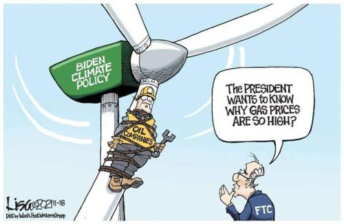 FB_IMG_1668786301523