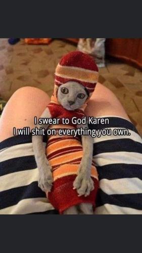 FB_IMG_1668546573144