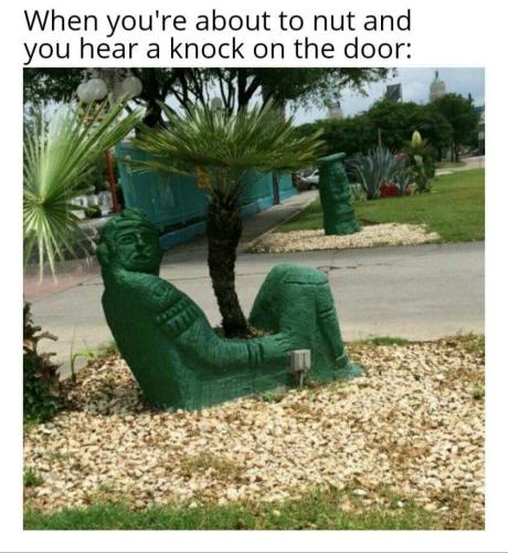 FB_IMG_1668282074801