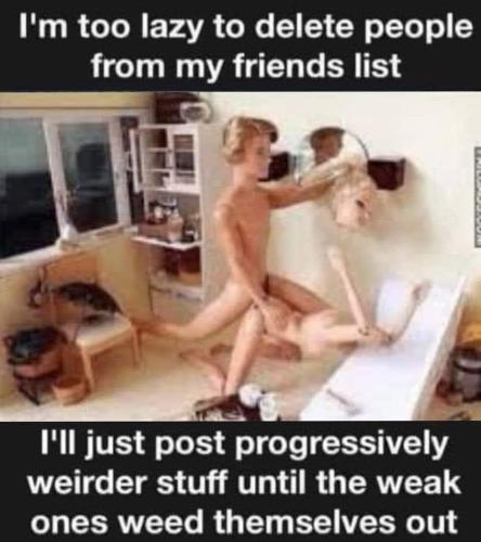 FB_IMG_1669750639858
