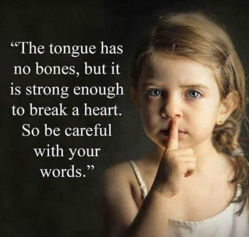 bdf97611-cd22-488e-9356-1bc5973a0728