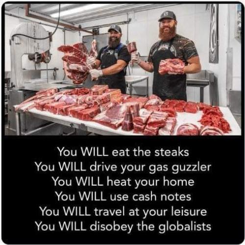FB_IMG_1667499273664