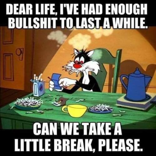 315630444_698214555259965_2730279270260612339_n