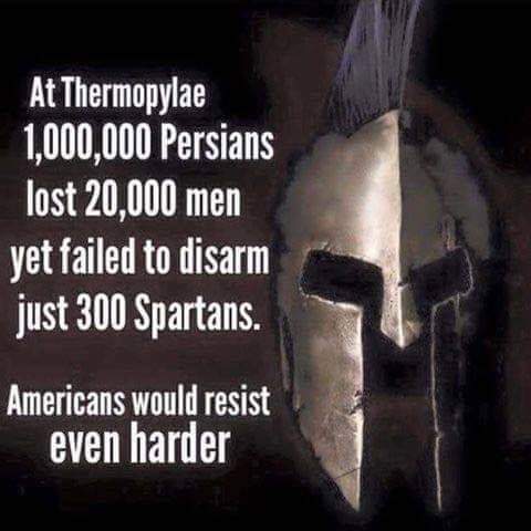 FB_IMG_1667683910750