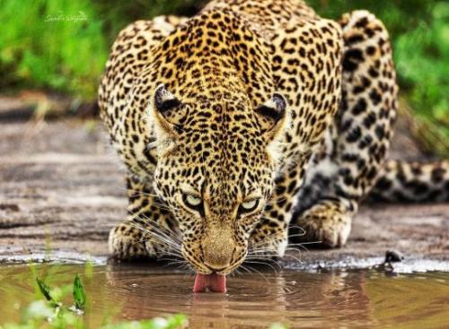 tumblr_a9d3627a1485cce04c53831a708f650b_f1c7bc58_540