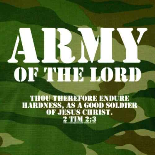 IMG_20221115_031716_426