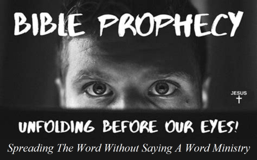 314138092_670184347801407_5563342602448422545_n