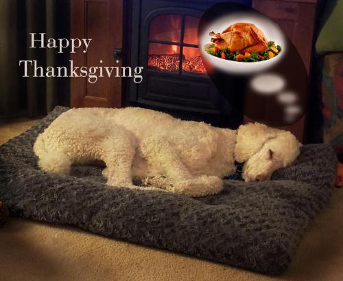 Finnegan dreaming #1 composite