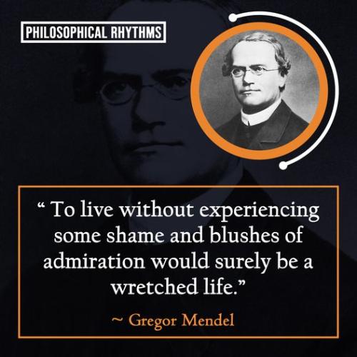 313077565_187958937101176_8502198911331890614_n