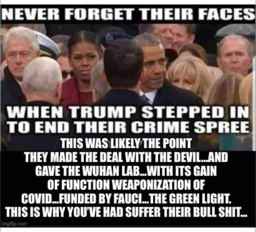 FB_IMG_1667956519994