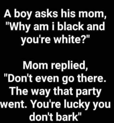 FB_IMG_1668878407629