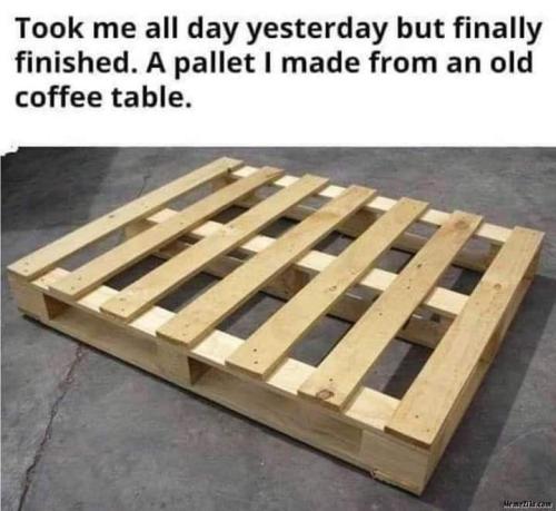 FB_IMG_1669174226844