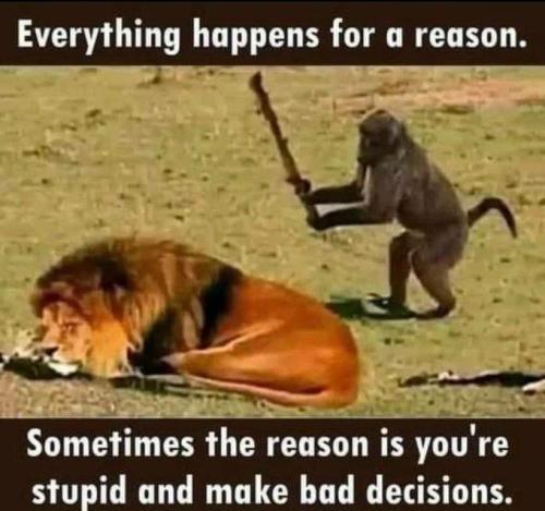 f00e556b29ae8977 (1) (1) (1)