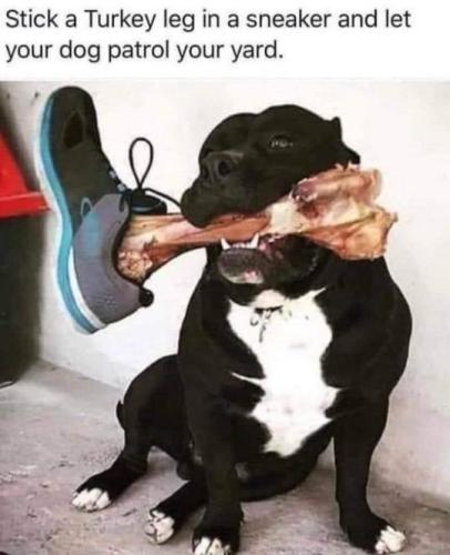 tumblr_d05e6a0097f3d9718d5d36a85b00365b_03656359_540