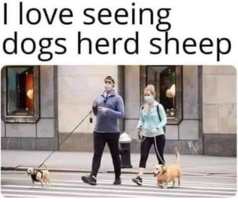 FB_IMG_1669395521876