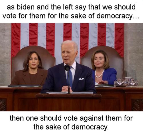 for the sake of democracy