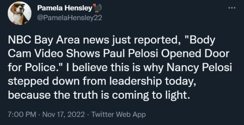 Pelosi 1