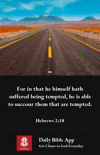 2022-11-261669506510934