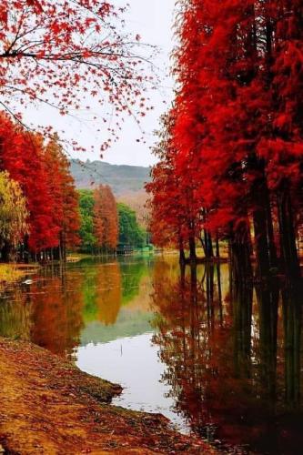 ABD473AC-9A07-4CF0-A577-2AA132EB420A