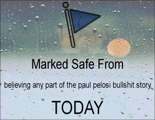 believing any part of the paul pelosi bullshit story