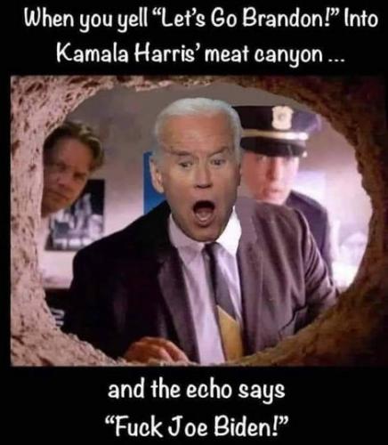 kamala harris218