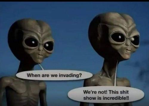 FB_IMG_1668455656137