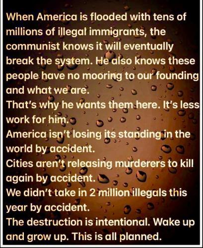 9D79D2EC-00F8-43E1-847E-3771636888A2