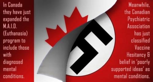 Screenshot_20221126-154453_Twitter