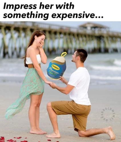 FB_IMG_1669309075140