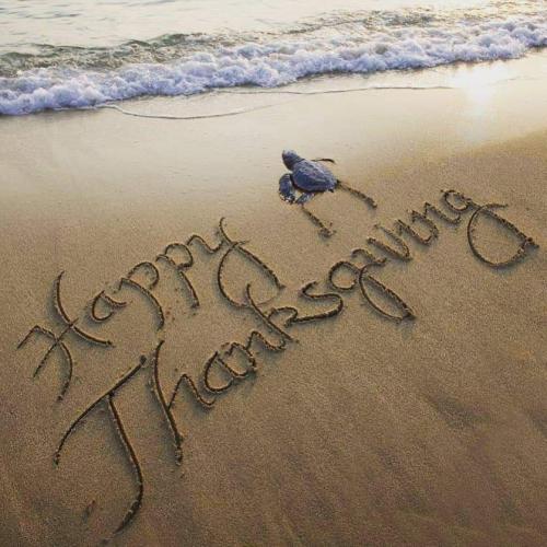 FB_IMG_1669265117795