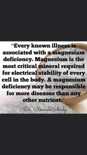 20ebe6cae752d90a7245bc88d1158d0f_1024