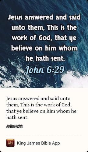 FB_IMG_1667889118734