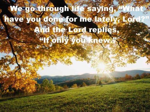 FB_IMG_1669468060770