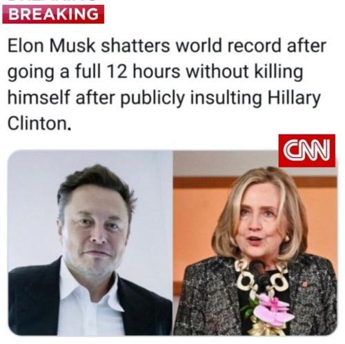 Musk 1