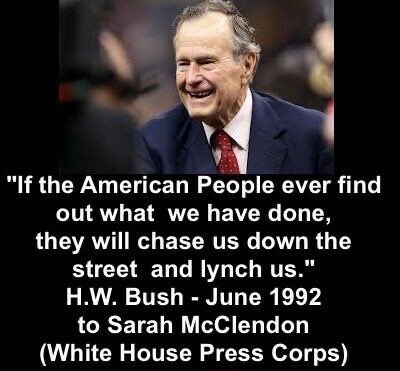 Bush Sr 1