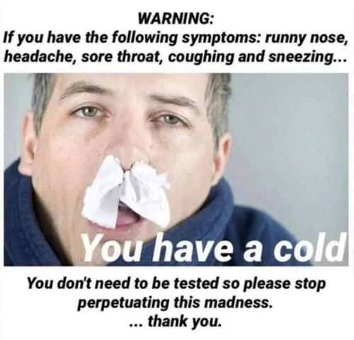 FB_IMG_1671400833225