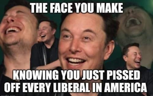 FB_IMG_1670182742496