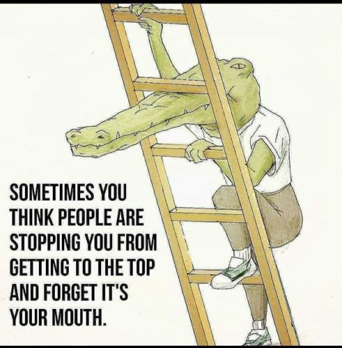 ladder-sometimes-think-people-are-stopping-getting-top-and-forget-s-mouth