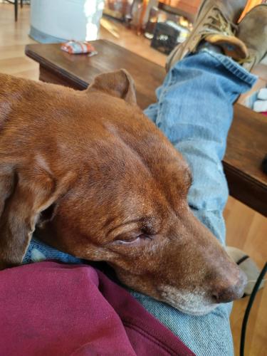 IMG_20221205_084407_HDR