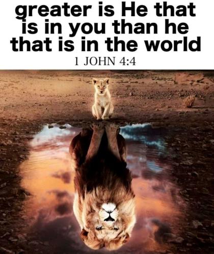 IMG_20221219_133410_913