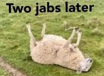 FB_IMG_1672237656048