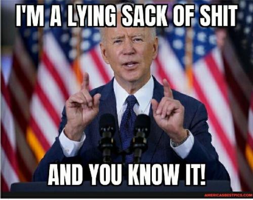 5cdd8696-0c2b-419b-970a-511f9f9f9e20