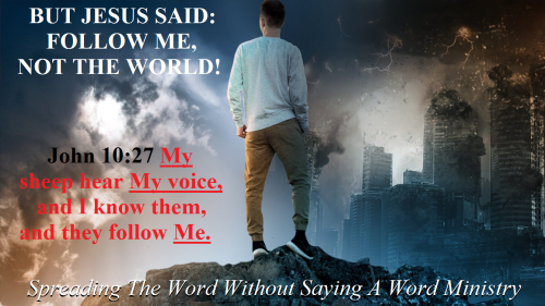 317107697_890063539024896_2062624668052328711_n